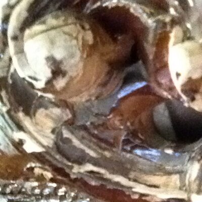 Profile Picture of Shihabudeen (@shihabshala) on Twitter