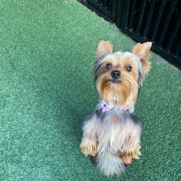 Profile Picture of Lisa Macfadden (@lisa_renee01) on Poshmark