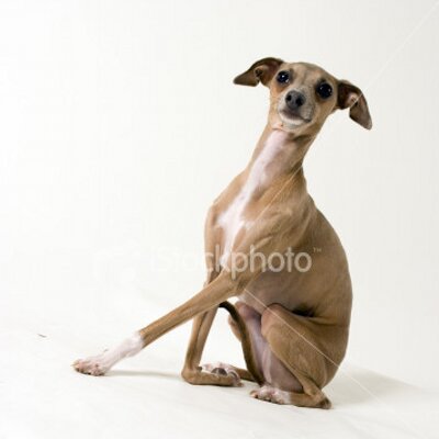 Profile Picture of Pam Barnett (@PamBarnett1) on Twitter