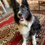 Profile Picture of Michael Blair (@michael.blair23) on Instagram