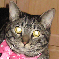 Profile Picture of Derek Cole Aguiar (@DerekColeAguiar) on Twitter