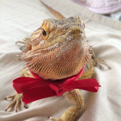 Michael  Ende - Twitter Profile Picture of Michael  Ende (@75V8zClx6pOhIRX) on Twitter