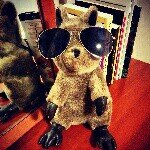 Profile Picture of John Newbery (@jonnynewbs) on Instagram