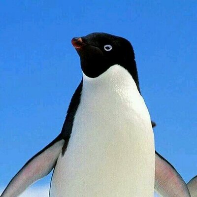 Profile Picture of Hope Olson (@Randon_Horan) on Twitter