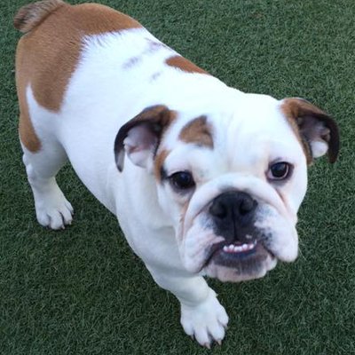 Elizabeth Handly - Twitter Profile Picture of Elizabeth Handly (@E_handly) on Twitter