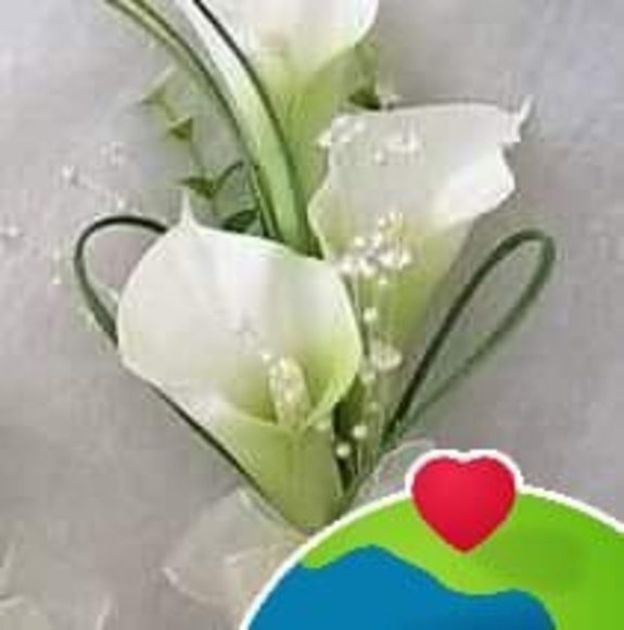 Profile Picture of Paula Cunha (@paulacunha256) on Poshmark