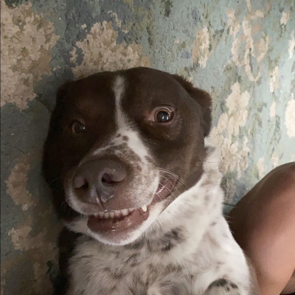 Profile Picture of Ashley Mostrom (@ashleymost) on Poshmark