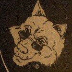 Matthew Zaleski - Instagram Profile Picture of Matthew Zaleski (@mze360) on Instagram