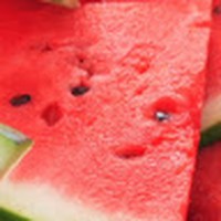 Profile Picture of Libby Bush (@libby-bush-2) on Quora