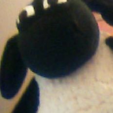 Profile Picture of Sean Sheep (@sean.sheep.73) on Facebook