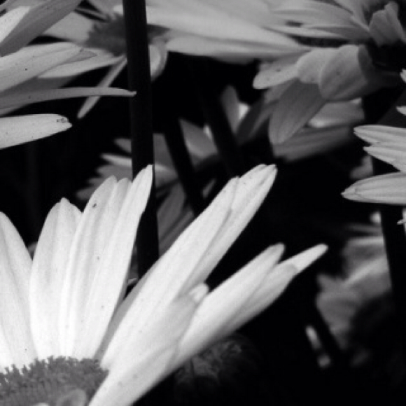 Profile Picture of Jenna Baldwin (@jennamarie29) on Poshmark