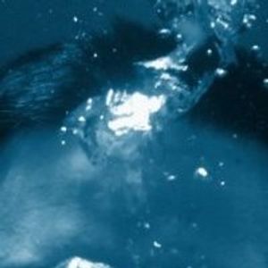 Robin Fowler - Myspace Profile Picture of Robin Fowler (@robin.fowler1) on Myspace