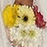 Profile Picture of Andreia Almeida Ribeiro (@andreia ribeiro2011) on Flickr