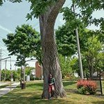 Stephen James Rahey - Instagram Profile Picture of Stephen James Rahey (@steverahey) on Instagram