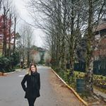 Profile Picture of Amanda Ferranti (@amandaferranti) on Instagram