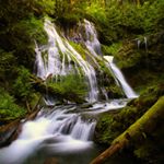 Terri Marshall - Instagram Profile Picture of Terri Marshall (@marshallpowellphotography) on Instagram