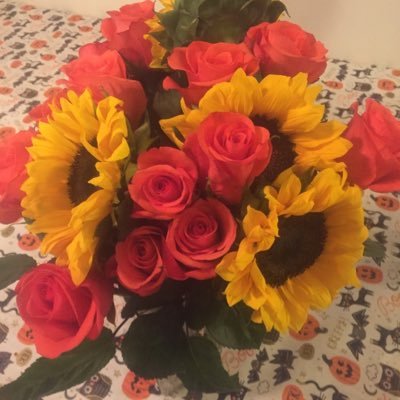 Profile Picture of Terri Alberts (@mrsalberts2015) on Twitter