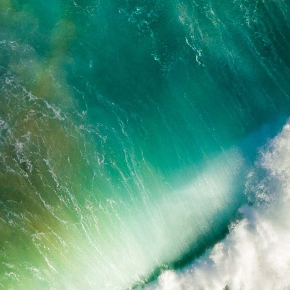 Profile Picture of Sage Amorim (@amorim6189) on Poshmark