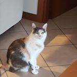 Profile Picture of Maria Elisa (@tango23100) on Instagram