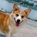 Profile Picture of Paula Paramo (@paula.paramo.332) on Facebook
