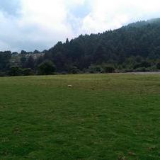 Profile Picture of César Román (@cesarroman327) on Twitter