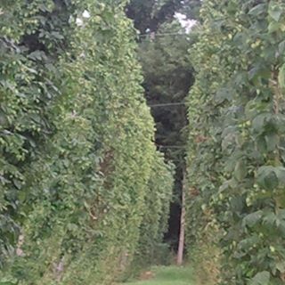 Profile Picture of Stephan Schmidt (@smsnyus) on Facebook