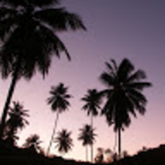 Profile Picture of Sydney Riegel (@s_riegel) on Poshmark