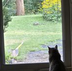 Profile Picture of Michael Gingo (@Michael-Gingo) on Facebook