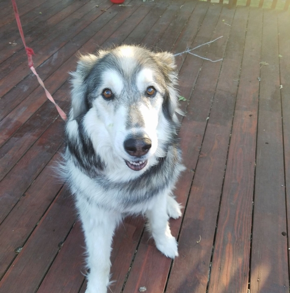 Jason Paranteau - Poshmark Profile Picture of Jason Paranteau (@paranteaujason) on Poshmark