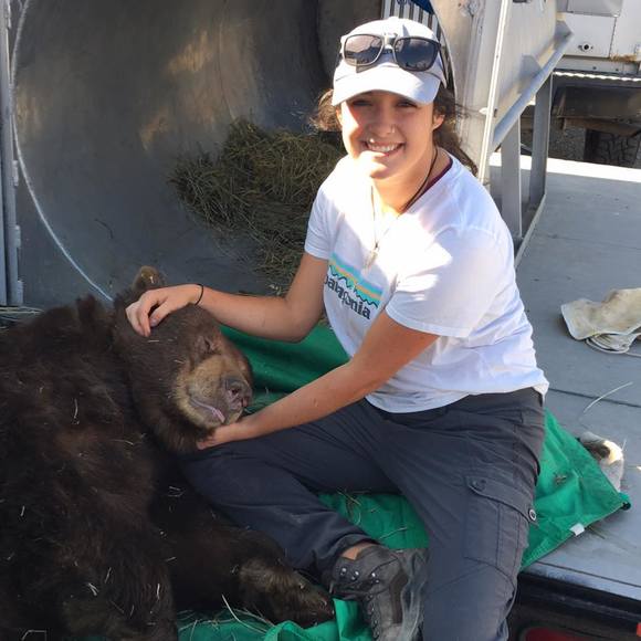 Caroline Blommel - Poshmark Profile Picture of Caroline Blommel (@carolineblommel) on Poshmark