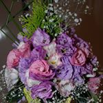 Profile Picture of Paula Savino (@savinopaula) on Instagram