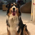 Profile Picture of craig_romero_helm (@craig_romero_helm) on Instagram