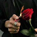 Profile Picture of Wassim Tabassi (@tabassiwassim) on Instagram