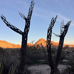 Profile Picture of Chloe.syrah (@chloe.syrah) on Flickr