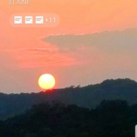 Profile Picture of Elaine Ahnee (@eahnee) on Poshmark