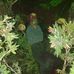 Profile Picture of Colin Neill (@colin.neill.737) on Facebook