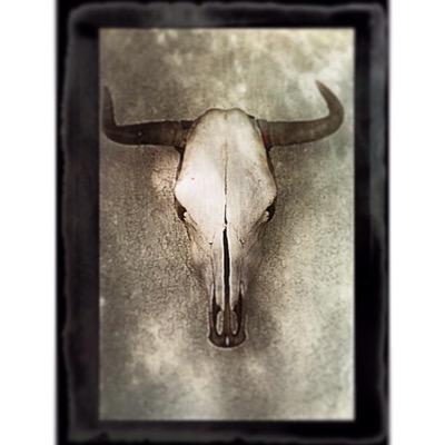Profile Picture of Scott Sine (@ssine58) on Twitter
