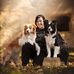 Profile Picture of Tamara Stark (@tamara.stark.31) on Facebook