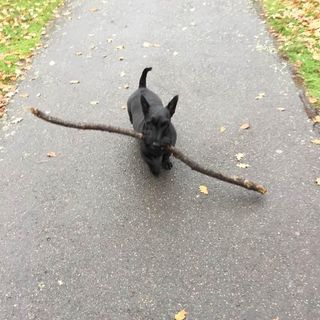 Profile Picture of Eric Dumoulin (@eric.dumoulin.900) on Facebook