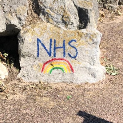 Profile Picture of Joanne Innes (@innes66) on Twitter