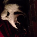 Profile Picture of janetleewarner (@janetleewarner) on Instagram