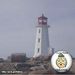 Profile Picture of Donnalee Thistle (@pynettlethistle) on Pinterest