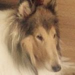 Profile Picture of Lisa Weinmaster Glauner (@lisaglauner) on Instagram