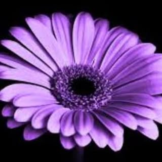 Profile Picture of Jodi Morefield (@jodimorefield) on Instagram