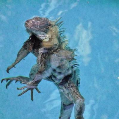 Profile Picture of Terrygist (@terrygist00) on Twitter