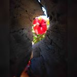 Profile Picture of LUJAN-SAN-LUIS (@paisajes_de_lujan) on Instagram