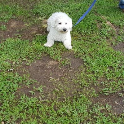 Profile Picture of Edna Enríquez (@EdnaEnrquez1) on Twitter