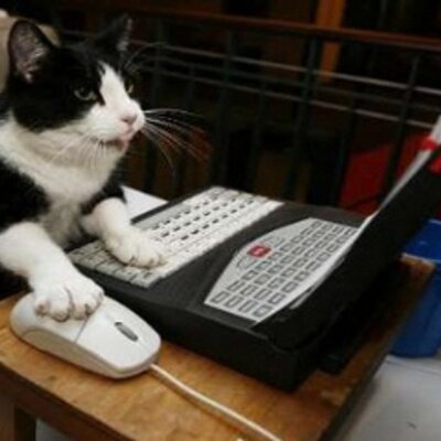 Michael McKeague - Twitter Profile Picture of Michael McKeague (@Micmckwildar) on Twitter