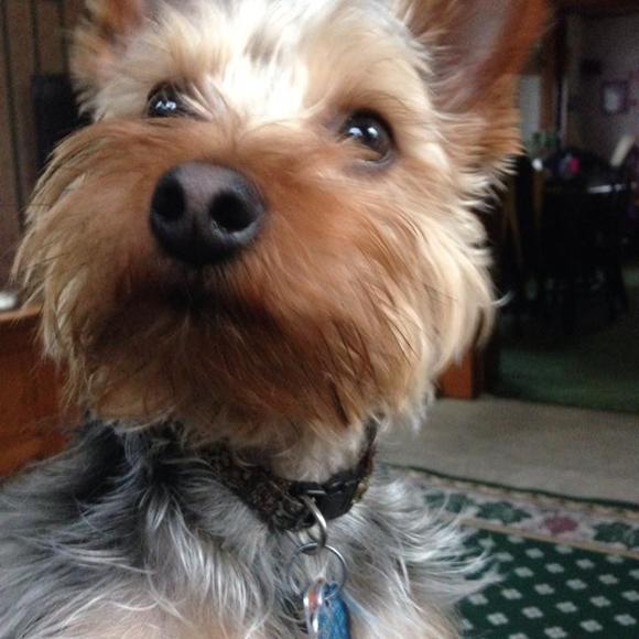 Profile Picture of Benjamin Spangler (@taylor04033) on Poshmark