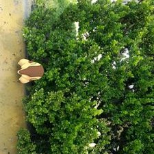 Profile Picture of Joel Rufino (@JoelRufino10) on Twitter